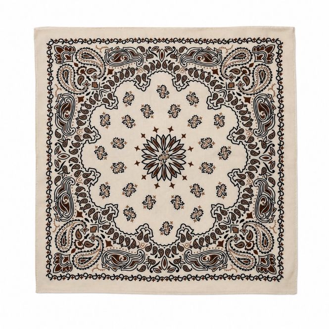 Hovedbilde JY 02 Paisley Scarf Large