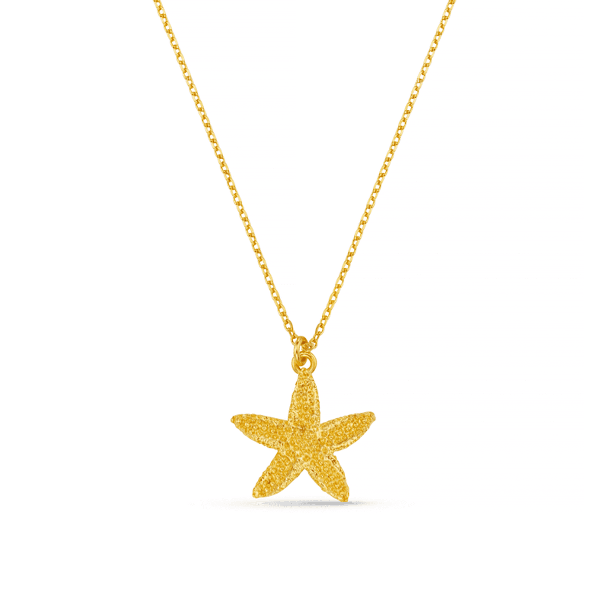 40300 Textured Starfish Necklace
