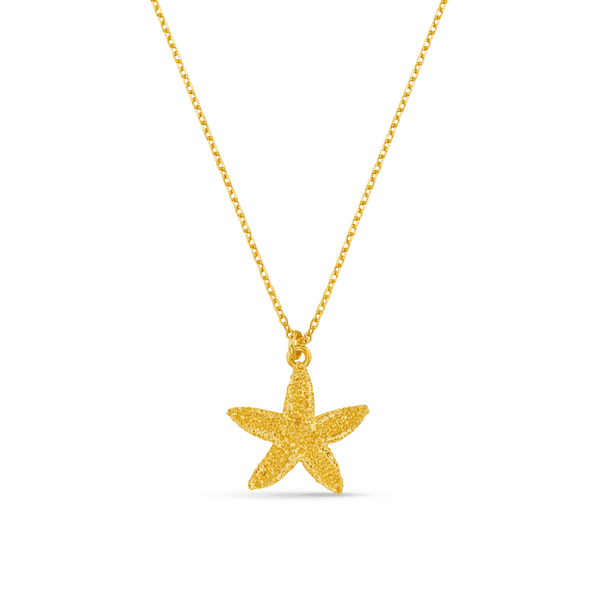 Hovedbilde 40300 Textured Starfish Necklace