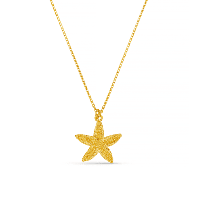 Hovedbilde 40300 Textured Starfish Necklace