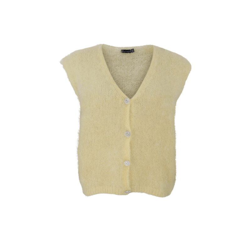 Bjoerk Knit Vest